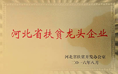 荣誉资质